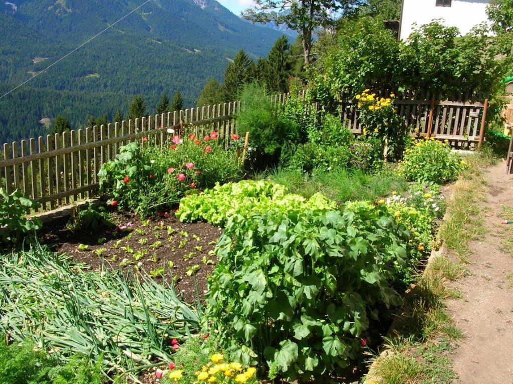 Kerschbaumhof Daire San Candido Dış mekan fotoğraf